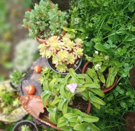 پانسیون Family Owned Self Sufficient Eco Farm Tara