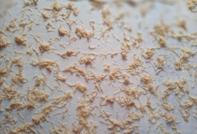 پانسیون Family Owned Self Sufficient Eco Farm Tara