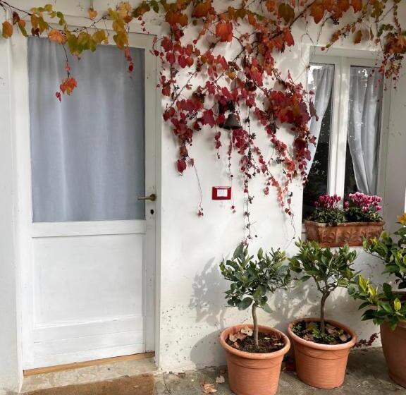 פנסיון Guestroom Ia Cascina Di Bea