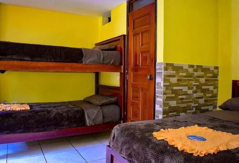 هاستل Hostal Maria Mercedes