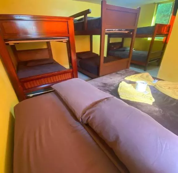 هاستل Hostal Maria Mercedes