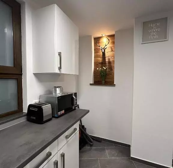 Aparthotel Waldhorn Wohnung Allgäustyle