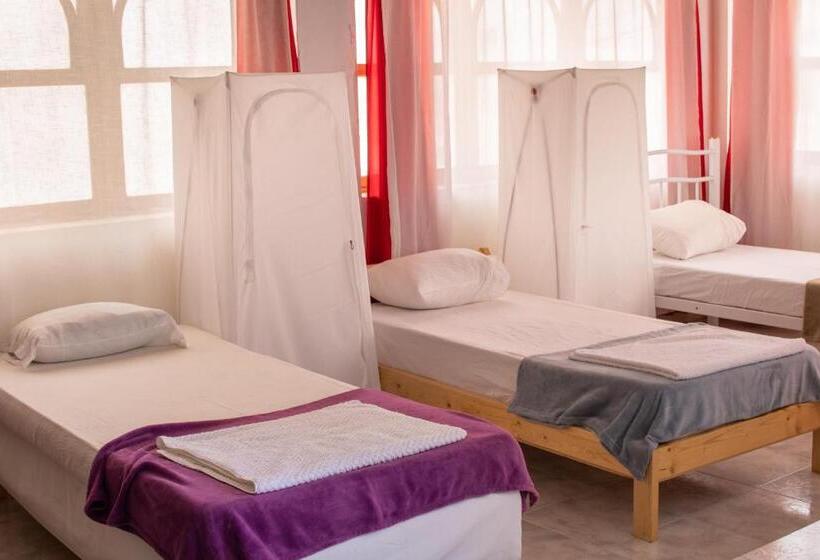 تختخواب و صبحانه Maya Apartments