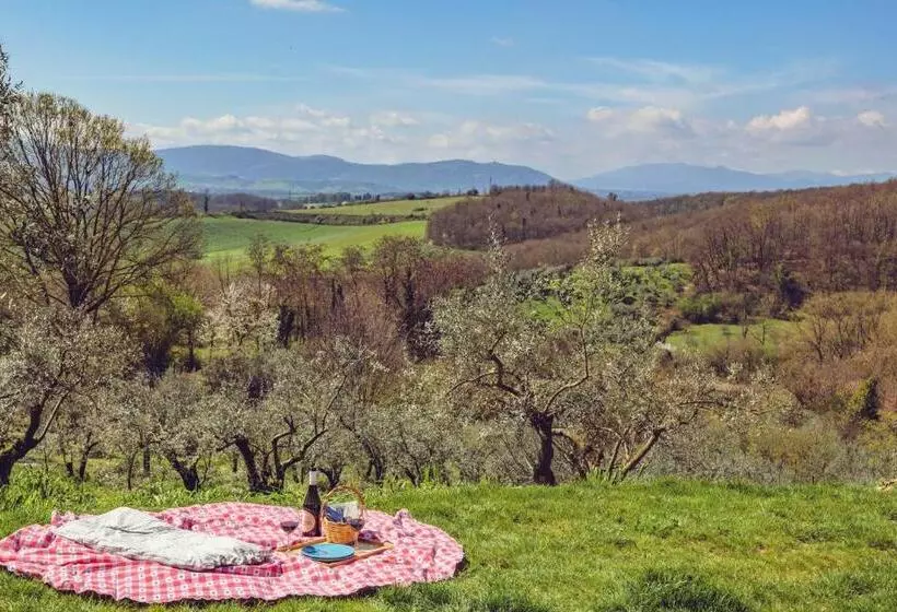 ベッドアンドブレックファースト Olio Su Tela