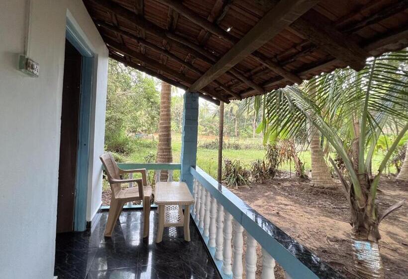 Hostelexp, Gokarna   A Slow Paced Backpackers Community