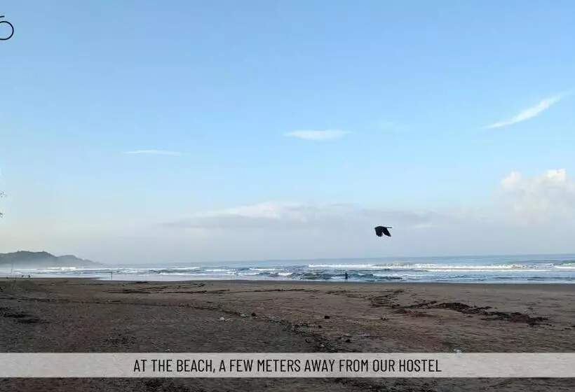 Hostelexp, Gokarna   A Slow Paced Backpackers Community