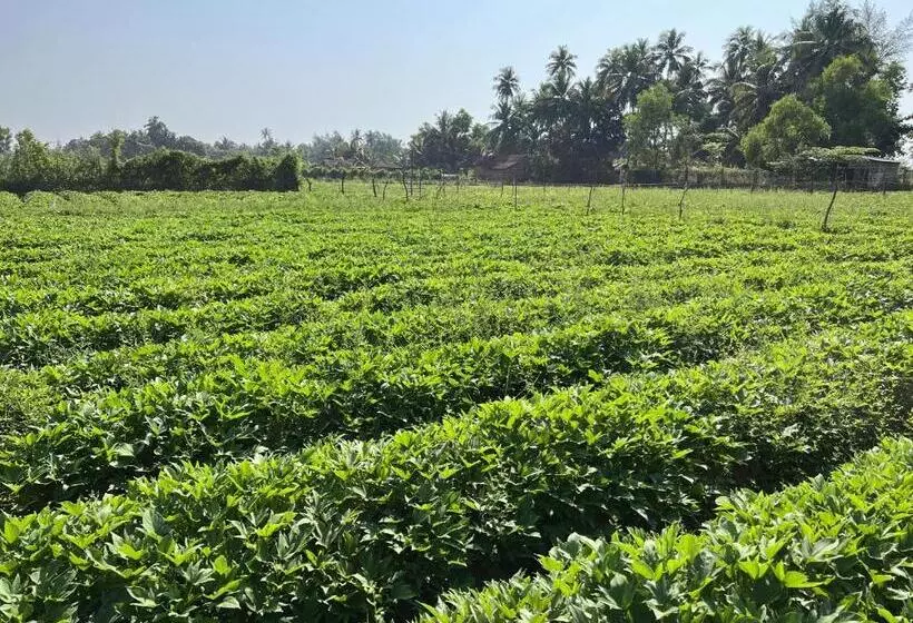 Hostelexp, Gokarna   A Slow Paced Backpackers Community