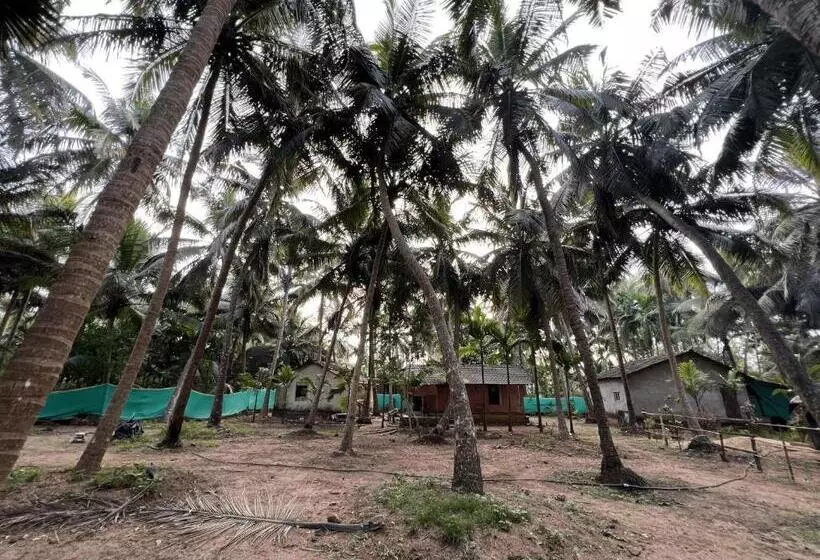 Hostelexp, Gokarna   A Slow Paced Backpackers Community