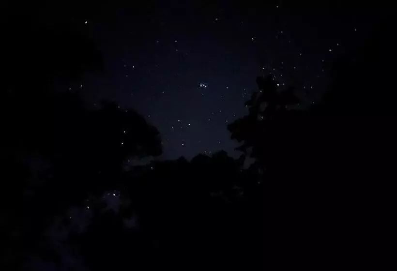 Hostelexp, Gokarna   A Slow Paced Backpackers Community