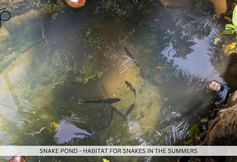 Hostelexp, Gokarna   A Slow Paced Backpackers Community