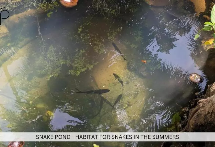 Hostelexp, Gokarna   A Slow Paced Backpackers Community