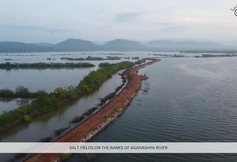 Hostelexp, Gokarna   A Slow Paced Backpackers Community