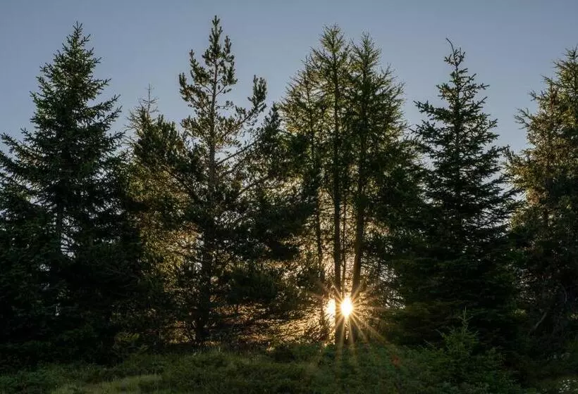 Hotelli Starkenfeldhütte