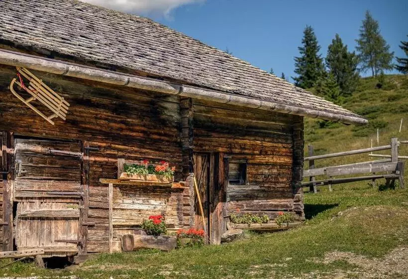 Hotelli Starkenfeldhütte