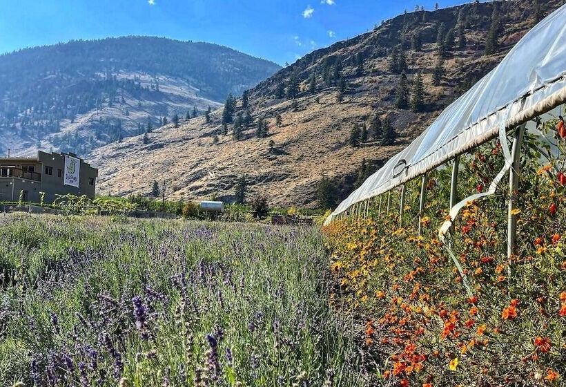 酒店 Tree To Me Inn