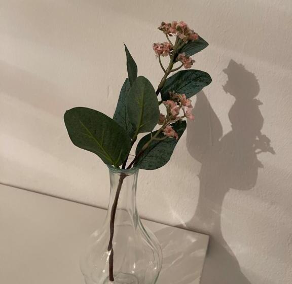 پانسیون Bf Boutique Jerez