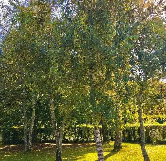 ホテル Domaine De Dadelsen   Beautiful Country Estate