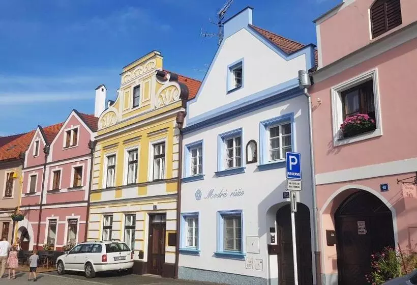 ペンション Modrá Růže Třeboň
