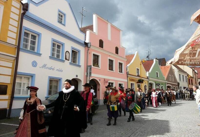 Panzió Modrá Růže Třeboň