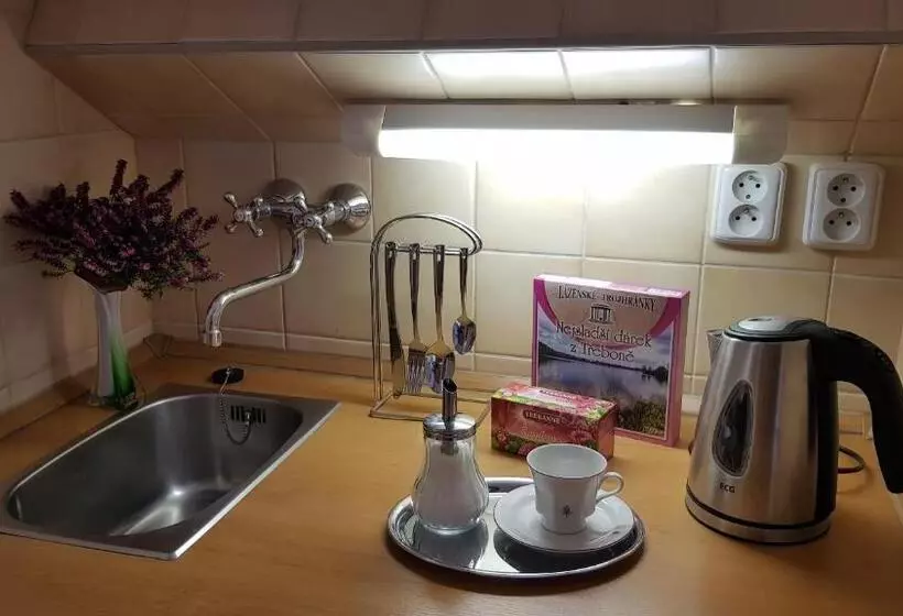 ペンション Modrá Růže Třeboň