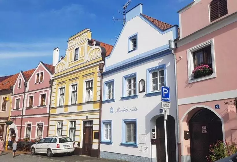 ペンション Modrá Růže Třeboň