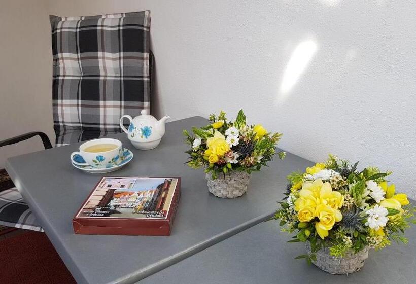 Panzió Modrá Růže Třeboň