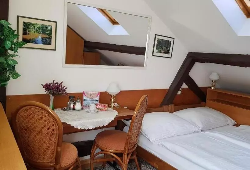 ペンション Modrá Růže Třeboň