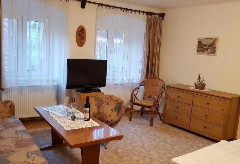 Panzió Modrá Růže Třeboň