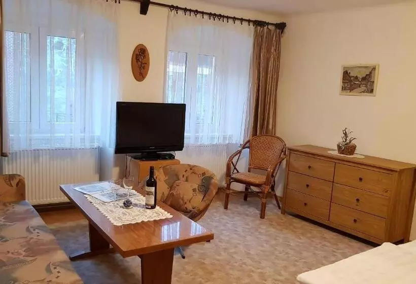 ペンション Modrá Růže Třeboň