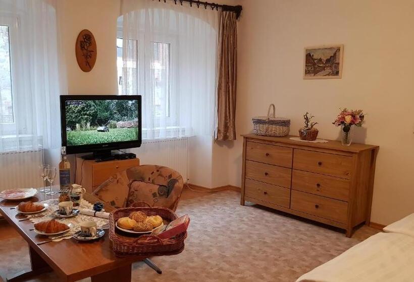 Panzió Modrá Růže Třeboň