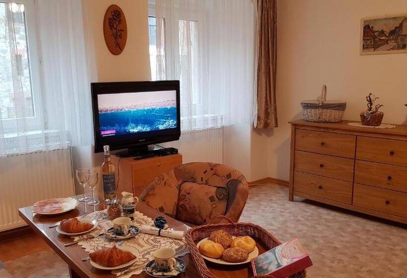 Panzió Modrá Růže Třeboň