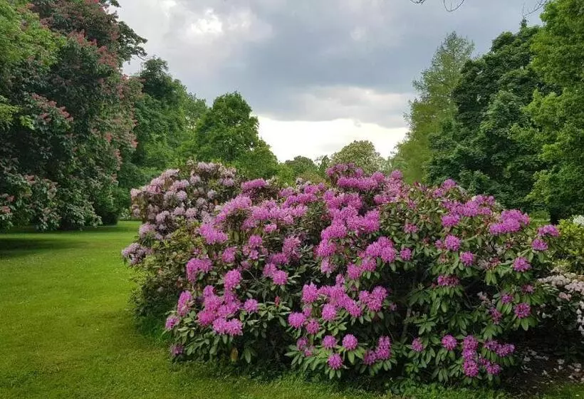 ペンション Modrá Růže Třeboň