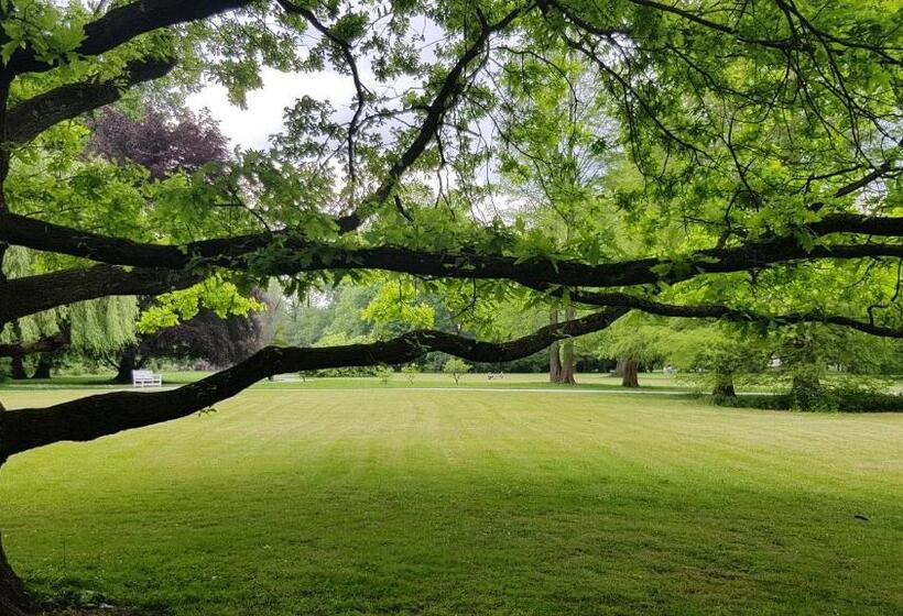 Panzió Modrá Růže Třeboň