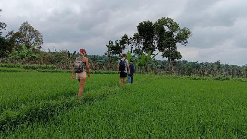 Pensiune Mysha Guest House Lombok