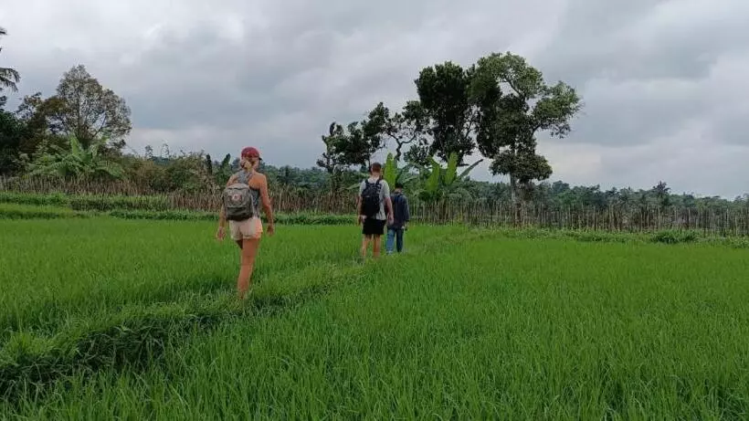 Majatalo Mysha Guest House Lombok