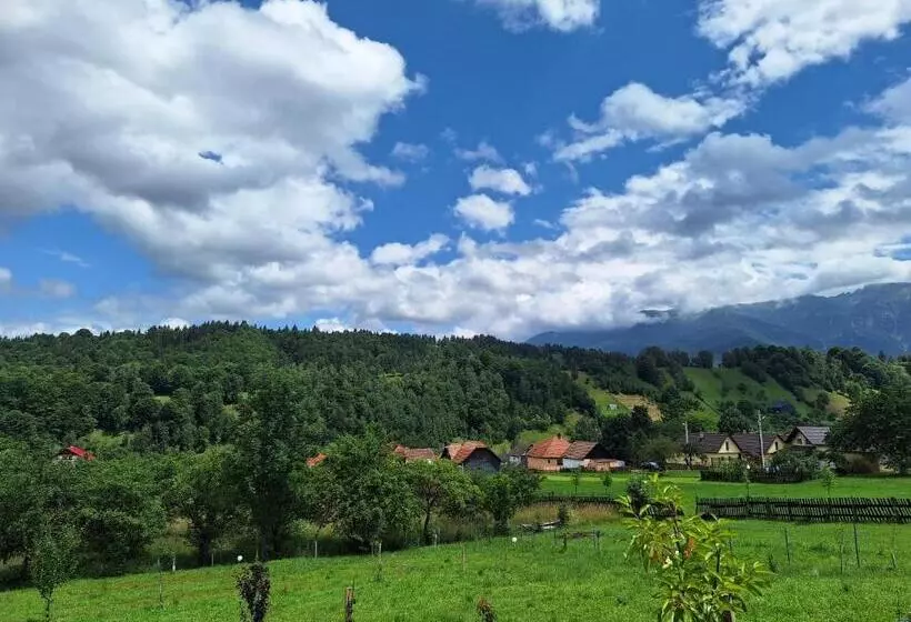 Pensiunea Podul Simonului