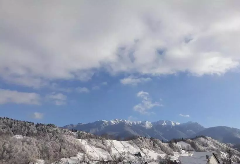 Pensiunea Podul Simonului