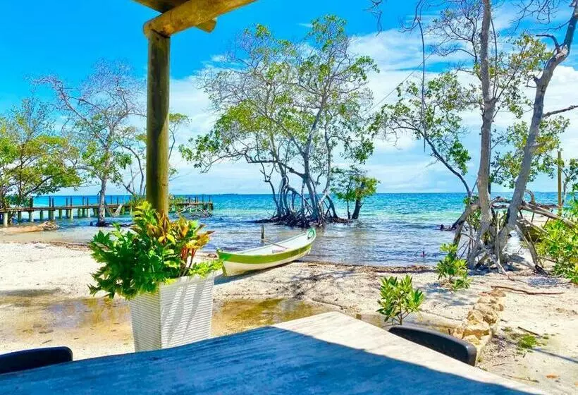 Majatalo Medusa Hostel Isla Tintipan