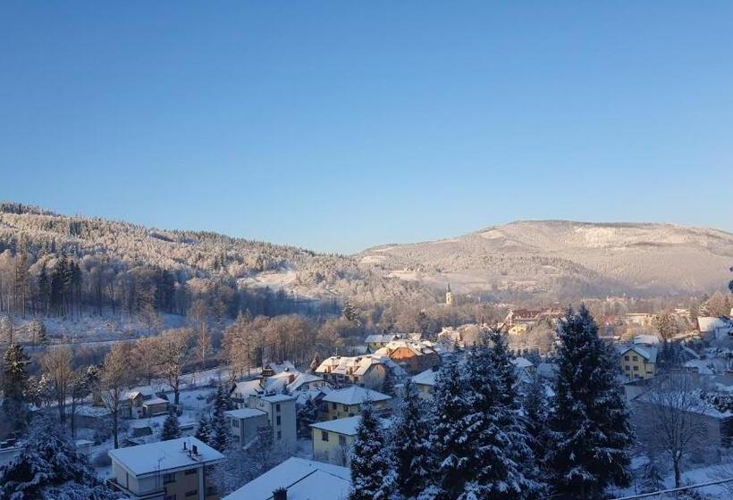 펜션 Willa Widokowa