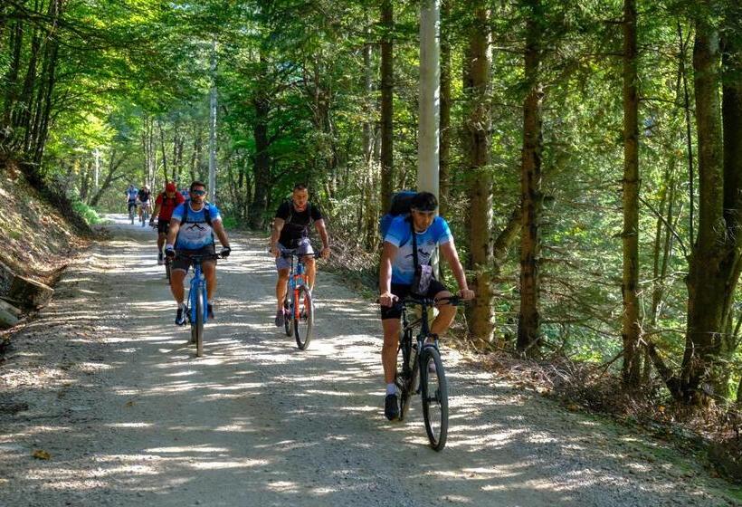 استراحتگاه Forest Lodges