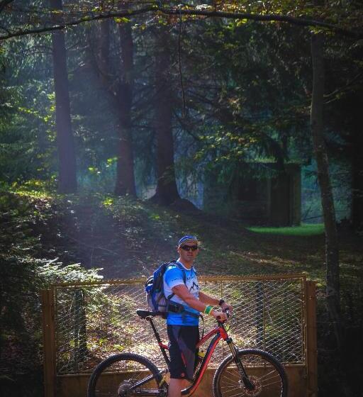 استراحتگاه Forest Lodges