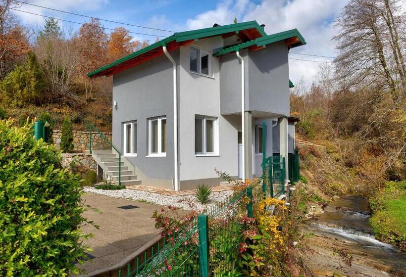 استراحتگاه Forest Lodges