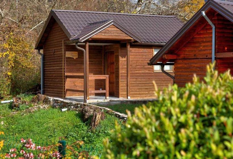 استراحتگاه Forest Lodges