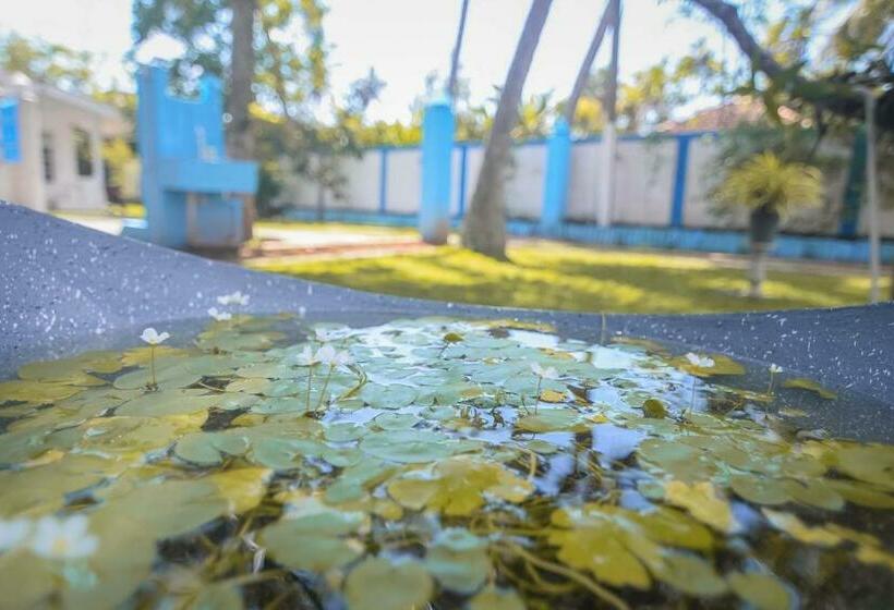 مبيت وإفطار Reach On Beach Resort