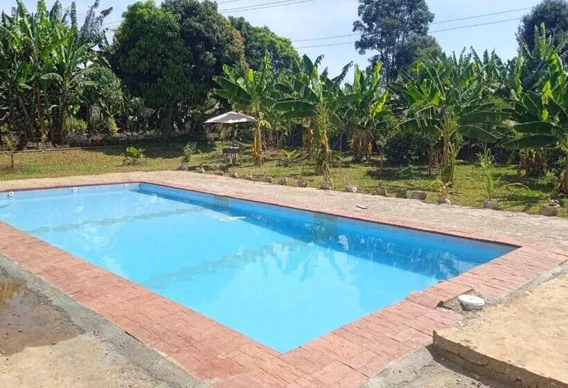 تختخواب و صبحانه The Plantains Place