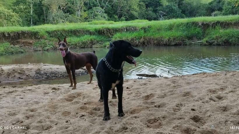 Hotelli Cabaña Campestre