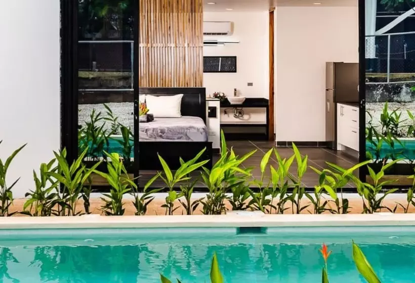 Hotelli House Of Nomad   Adults Only