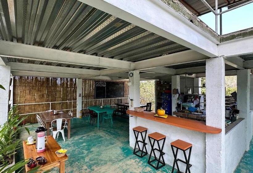 هتل Renasci Palomino