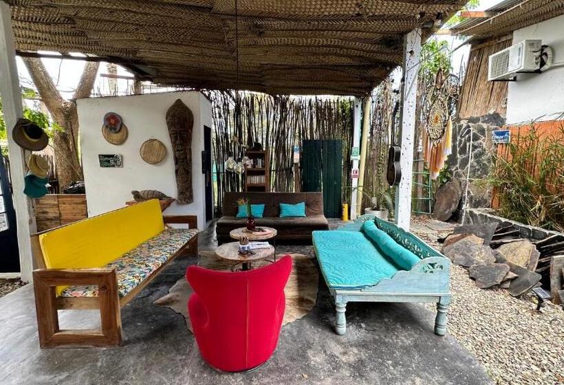 هتل Renasci Palomino