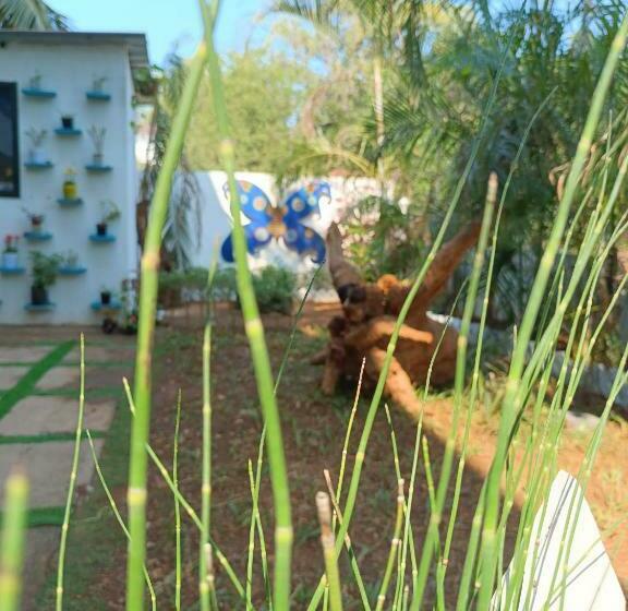 Pension Blue Jay Guest House